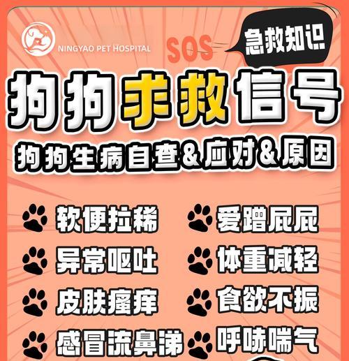 狗狗的饱腹感研究（从行为表现到生理机制，揭秘狗狗的饱腹感）