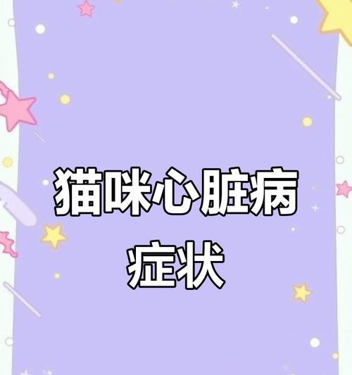 揭秘猫咪咳嗽的常见原因（了解猫咪咳嗽的症状和治疗方法）