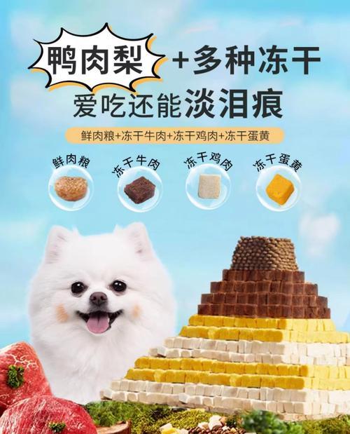 探究二个月博美吃多少狗粮的合适量（为什么二个月博美不喜欢吃狗粮？）
