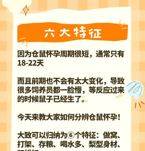 母仓鼠交配后多久怀孕？（探讨仓鼠怀孕周期及繁殖特点）