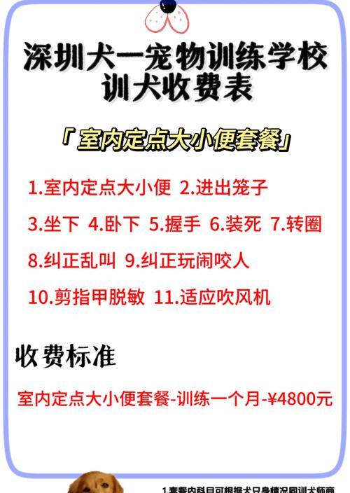 训狗多久见效？解密训犬的奥秘（狗狗训练，一切皆有可能！）