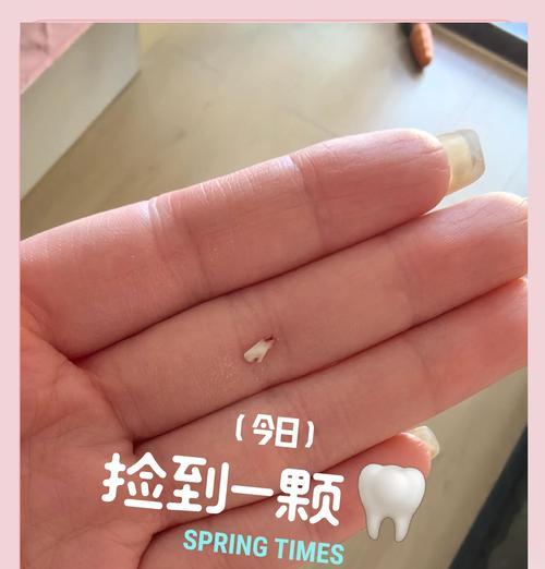 狗狗换牙期的时长及注意事项（探秘狗狗换牙期的神奇变化，了解如何呵护它们的口腔健康）