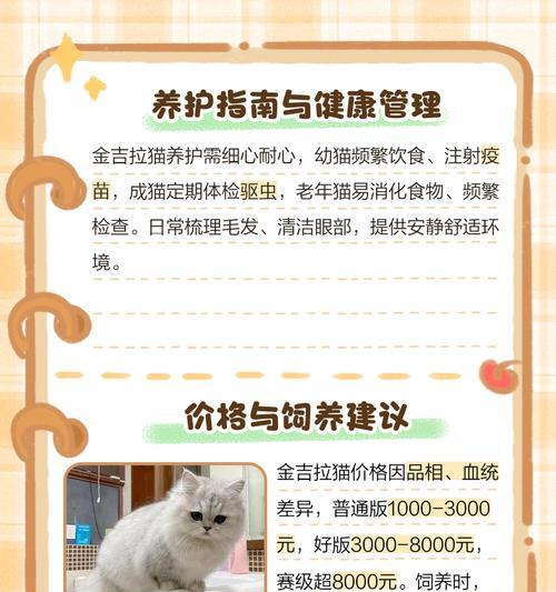 金吉拉繁殖能力与生小猫周期的探讨（了解金吉拉繁殖周期，科学养猫更从容）
