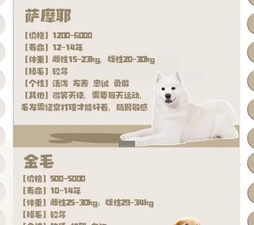 大型犬长大需要多长时间？（以不同大型犬为例，探讨其生长速度和时间需求）