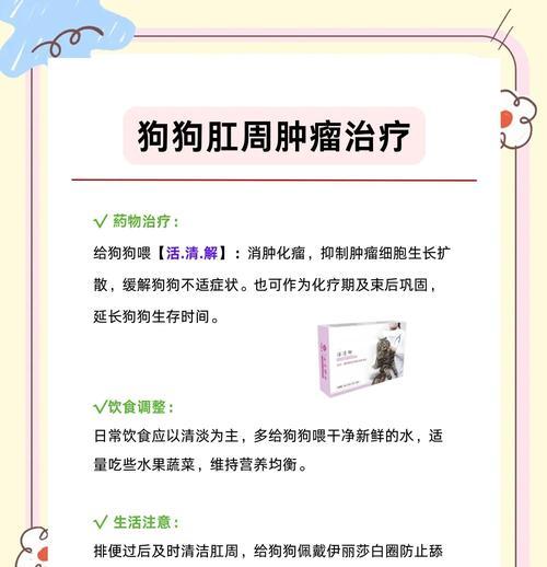 狗狗为什么不爱吃东西？原因与解决方法一探究
