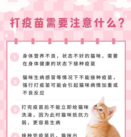 猫咪打疫苗的重要性（了解猫咪疫苗接种的必要性与费用）