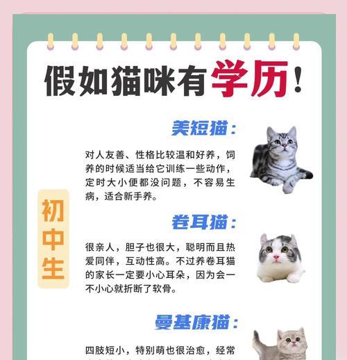 揭秘猫咪学历（以猫咪的智商为单位，你家猫咪是什么学历呢？）