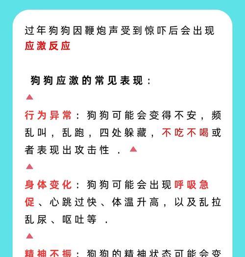 狗狗吃鞭炮会引发的症状及应对措施（了解狗狗吃鞭炮后可能出现的问题和如何保护它们的健康）