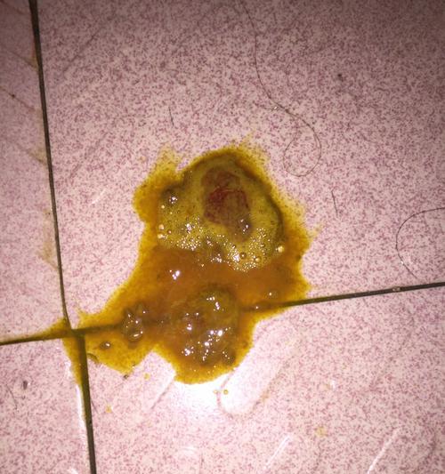 狗狗拉稀的禁水时间究竟有多久？（探讨狗狗拉稀情况下禁水的时间限制）