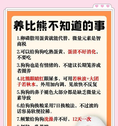 比熊犬驱虫频率的科学建议（比熊犬虫子预防与治疗的最佳时机）