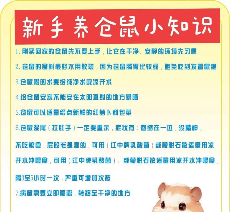 小仓鼠的喂养注意事项（养仓鼠需要注意的问题）