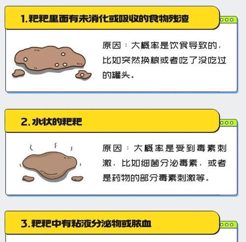 猫咪拉稀软便的原因及处理方法（解析猫咪拉稀软便的常见问题和应对策略）