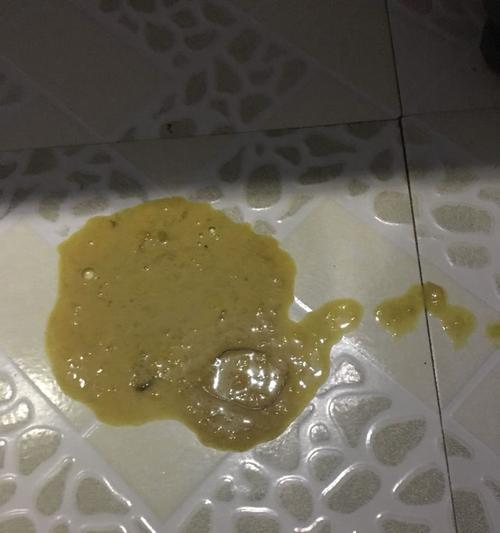 狗狗拉出虫子后，多久可以开始吃食物？（合理的等待时间和饮食调整方法）
