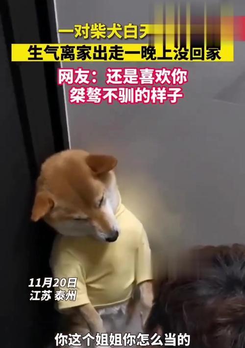 宠物狗死后的生理变化（揭秘狗死后多久会僵硬、会持续多久以及可能产生的叫声）