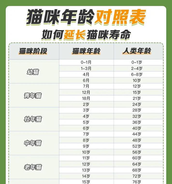 揭开猫咪年龄换算之谜！（猫咪1岁=人7岁真相大揭秘，惊人发现让你大吃一惊！）