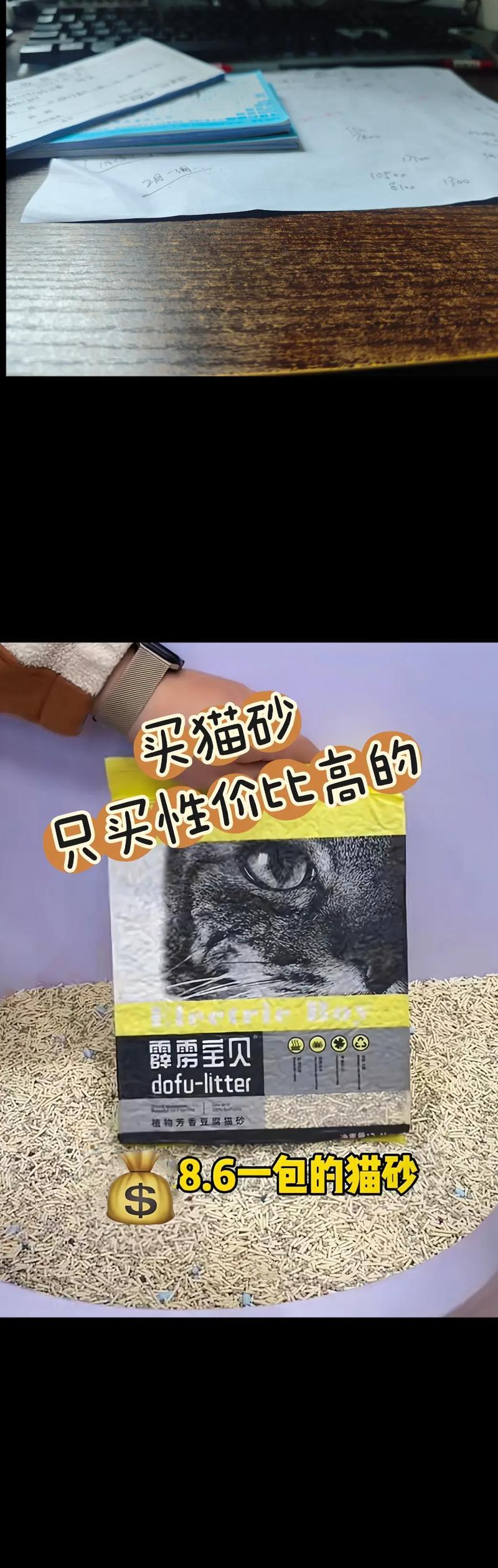 仓鼠猫砂使用指南（了解仓鼠猫砂的使用周期和注意事项）