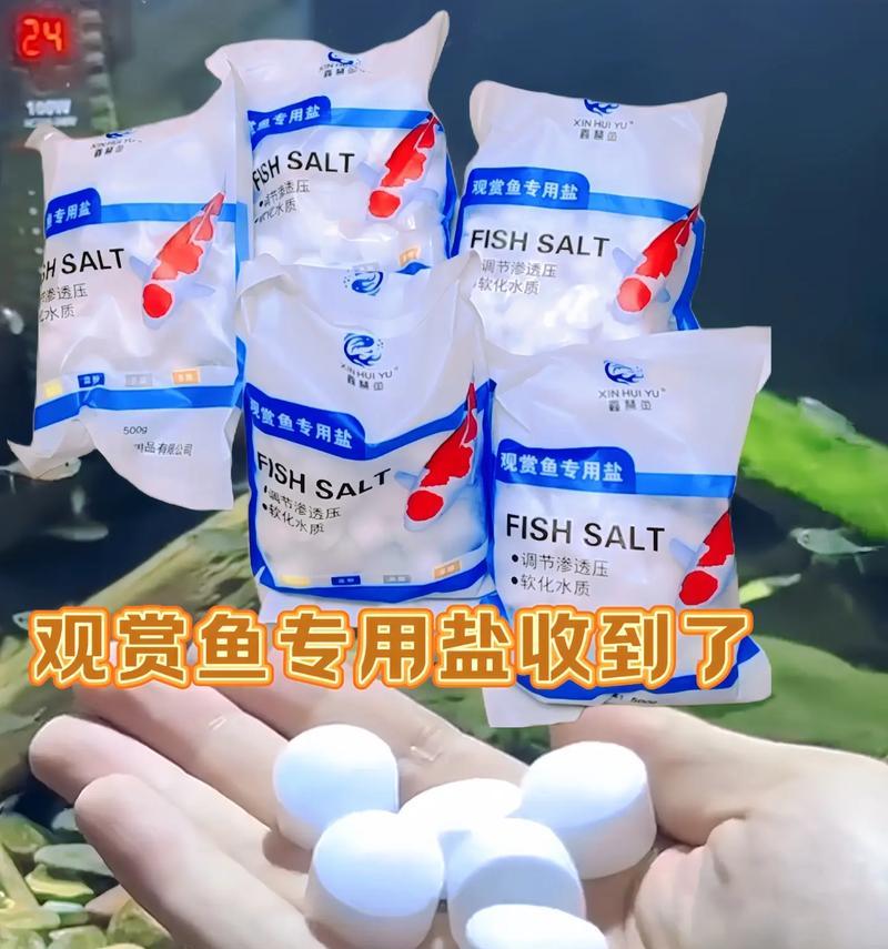 探索以怕盐的鱼种类及其特点（从盐度厌恶到饮水恐惧，这些鱼类如何应对咸水环境？）