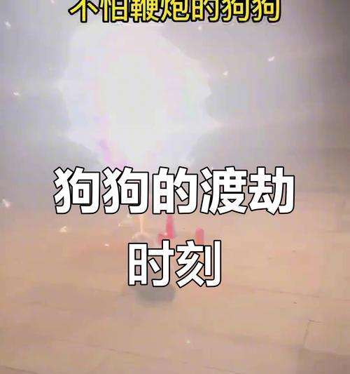 狗狗的恐惧声音（保护狗狗，避免恐惧声音的伤害）