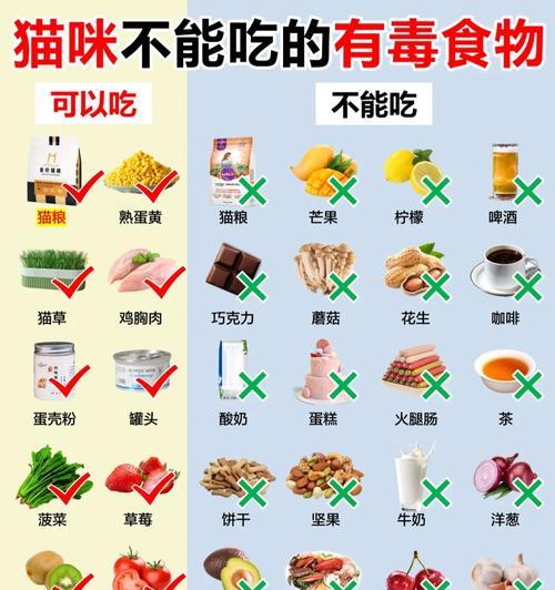 小猫不能吃的食物（为它们的健康着想，记住这些食物）