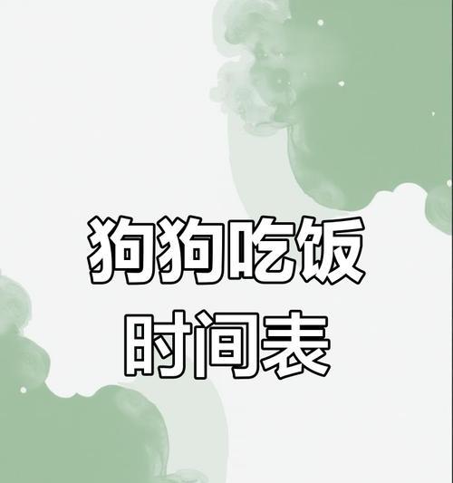 狗狗的不同年龄阶段喂食方法（从幼犬到老年犬，了解正确的喂食方式）