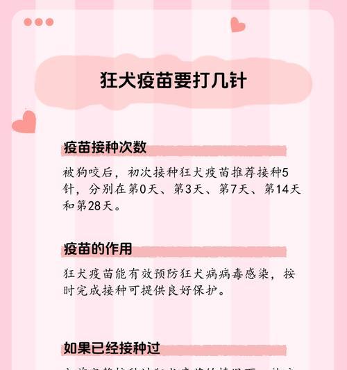 狗的疫苗接种时间及注意事项（保护你的宠物免受疾病侵害的关键——合理的疫苗接种计划）