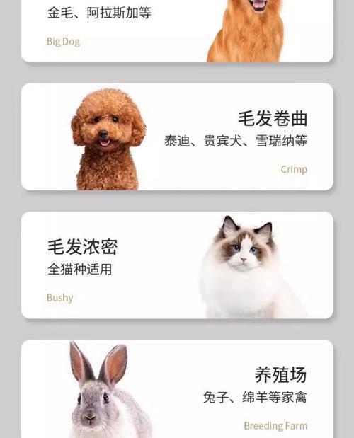 电剪与手剪在狗狗剪毛中的区别与优势