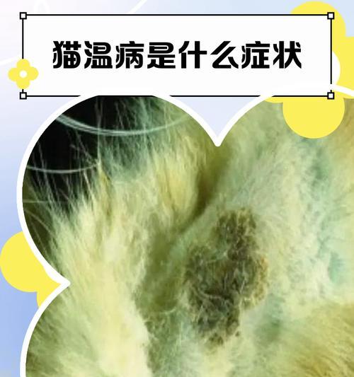 猫瘟的潜伏期（揭开猫瘟潜伏期的神秘面纱）