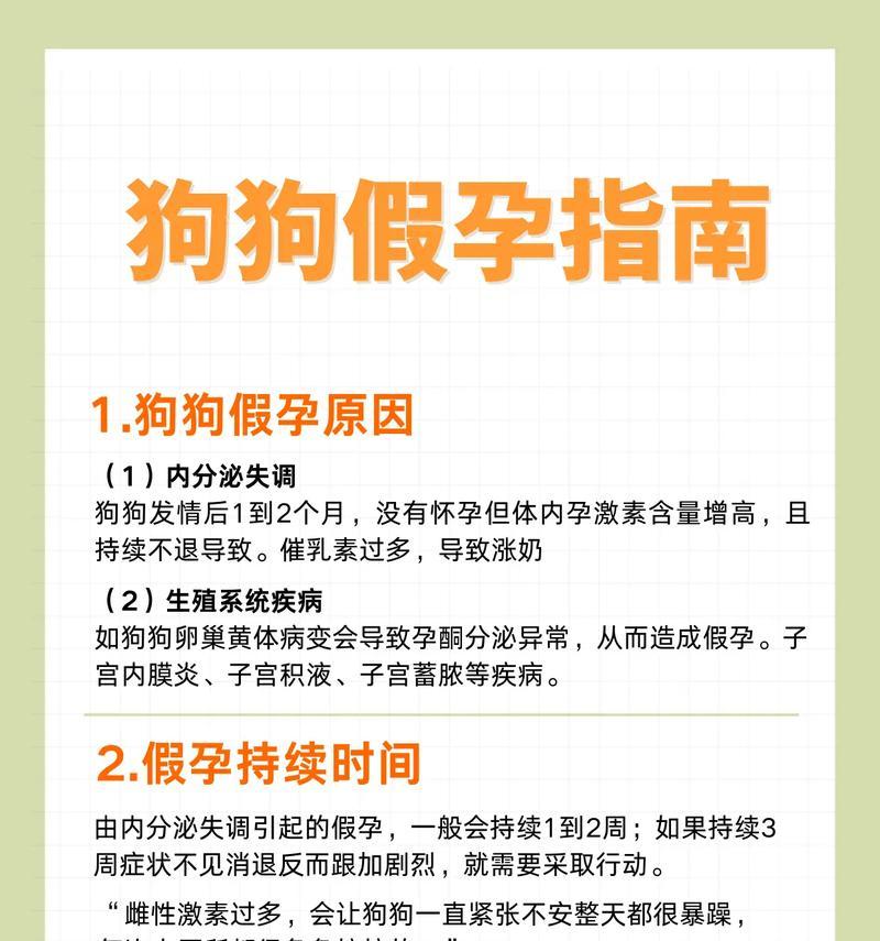 狗狗生产时的常见症状及处理方法