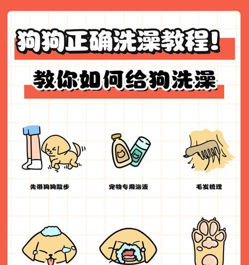 小狗狗出生后多久能洗澡？（了解适宜洗澡时间，给宠物宝贝更健康的护理）