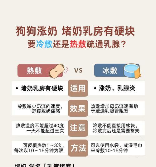 狗狗涨奶需要多久才能恢复正常？（了解狗狗乳腺发育周期和涨奶恢复的关键）
