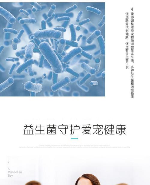 狗狗的益生菌摄入与健康相关（每周适量喂养益生菌，让狗狗少生病！）