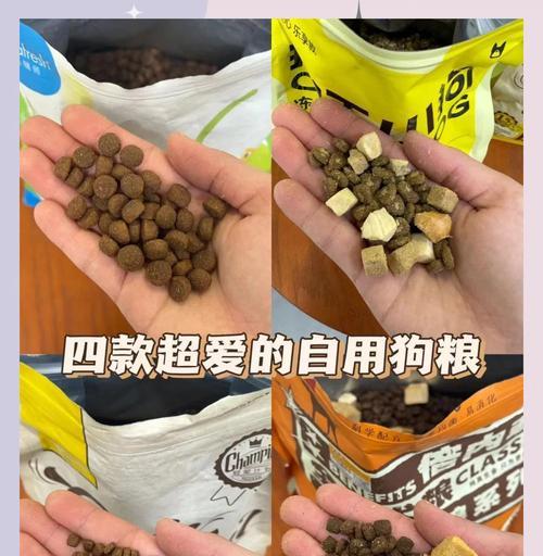 解决泰迪犬挑食问题的有效方法（如何让泰迪犬变得不挑食）