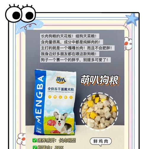 新手养宠必备（养金毛前的准备工作有哪些？新手养宠小白必看）