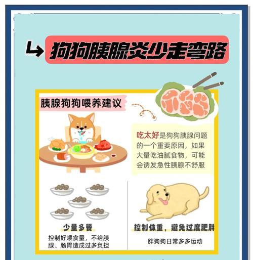 狗粮治疗胰腺炎的时机与效果（胰腺炎的狗粮治疗方案及其疗效评估）