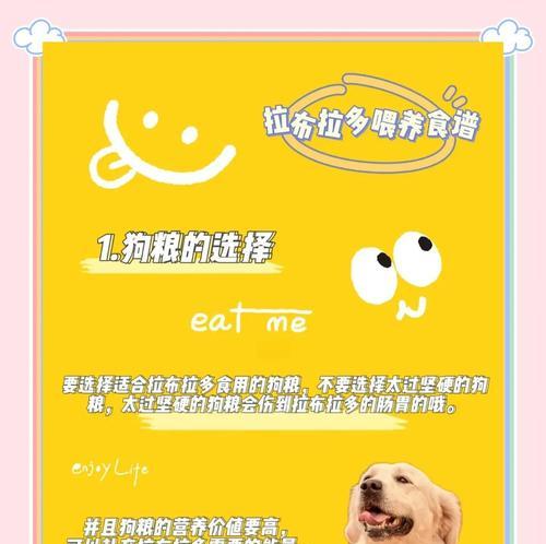拉布拉多吃狗粮对排便的影响（拉布拉多进食习惯与排便频率的关系探析）