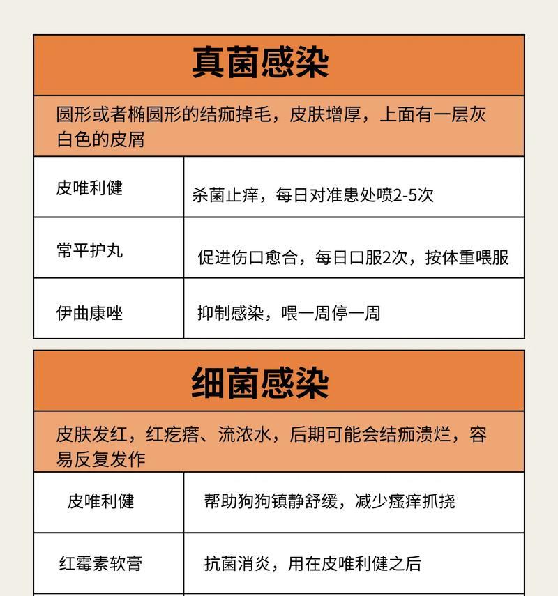 狗狗身上的细菌问题解决指南（教你5招，轻松消毒你的爱宠）