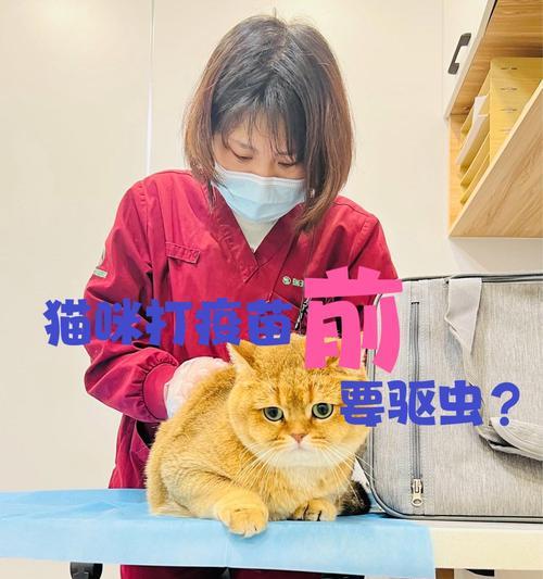 宠物狗驱虫频率（保护宠物健康的必要措施以及养犬经验分享）