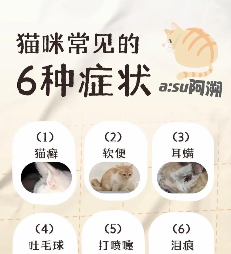 猫猫病（从呼吸道感染到消化系统失调，你需要知道的关于猫猫疾病的一切）