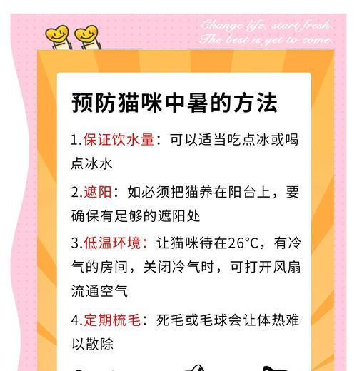 夏天养猫，必须小心！（7个注意事项让猫咪远离中暑）
