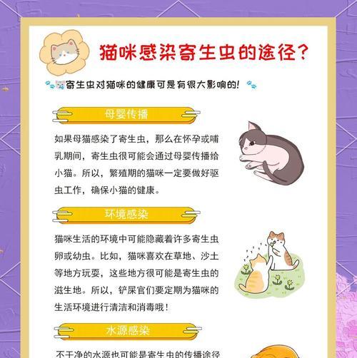 猫寄生虫在体外存活时间的研究（揭秘猫寄生虫的耐久能力与传播风险）