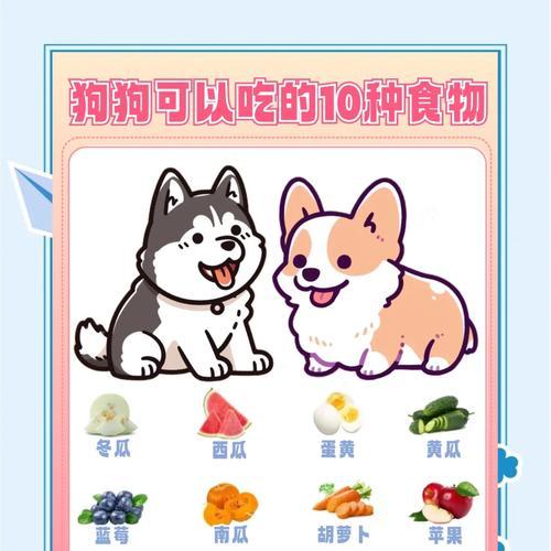 宠物狗的蔬菜禁忌（保护宠物狗的饮食健康，从这些蔬菜禁忌开始）