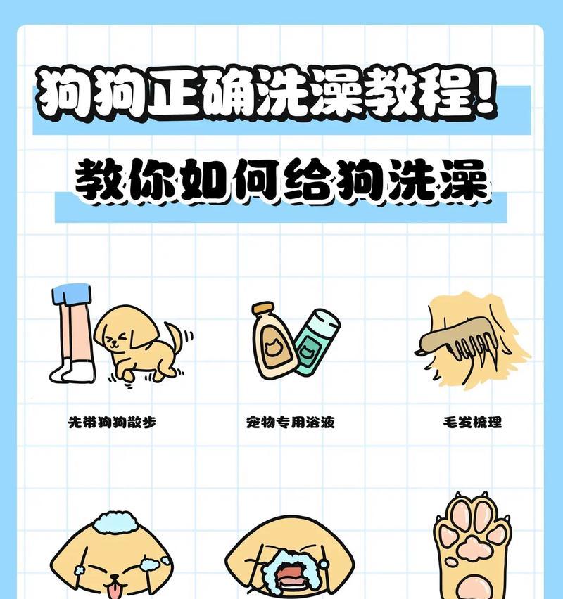 狗狗抽血后多久可以洗澡？（科学指南帮你解答宠物抽血后洗澡的时间安排）