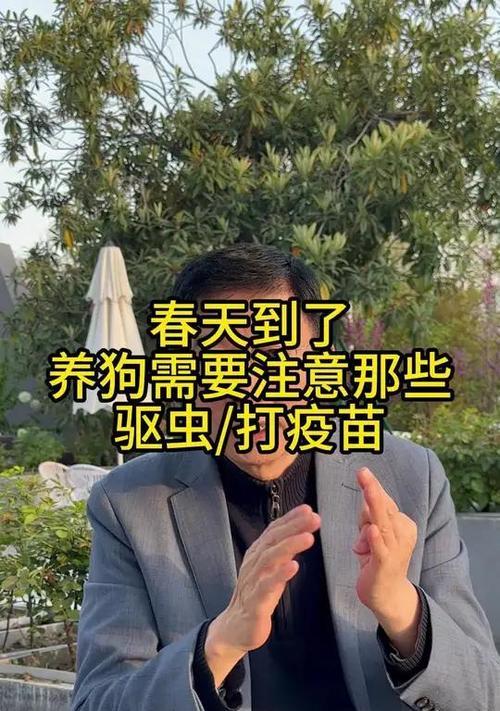 狗狗驱虫后多久可以打疫苗？（探究狗狗驱虫和疫苗之间的最佳时间间隔）