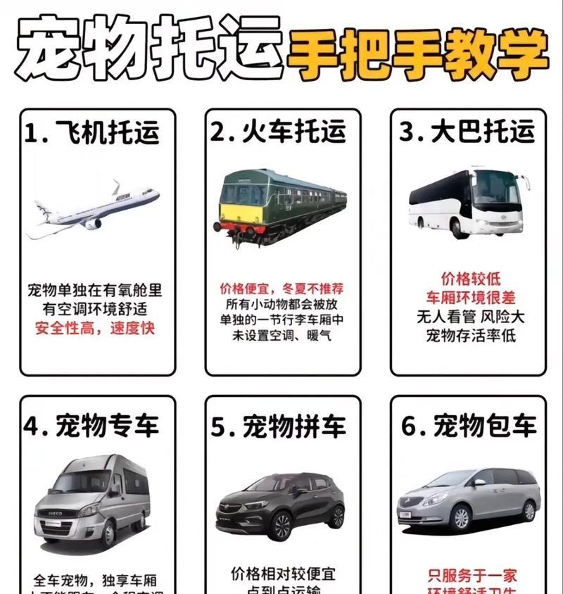 宠物空运费用及流程详解（了解宠物托运的费用和流程，为宠物的舒适与安全保驾护航）