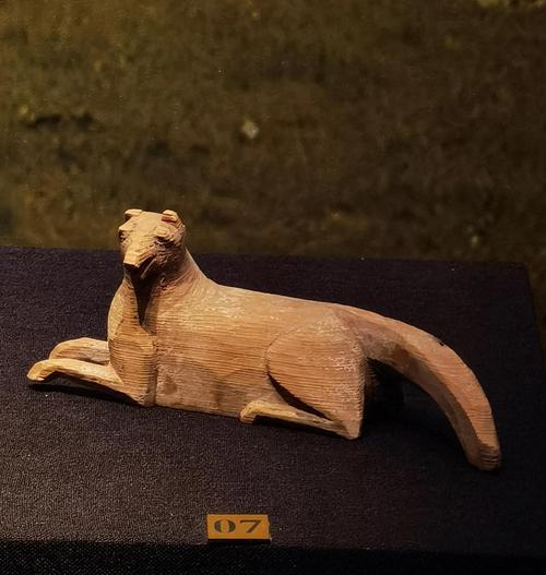中国犬展（从传统到现代，中国犬展将展示多样化的中国犬种）