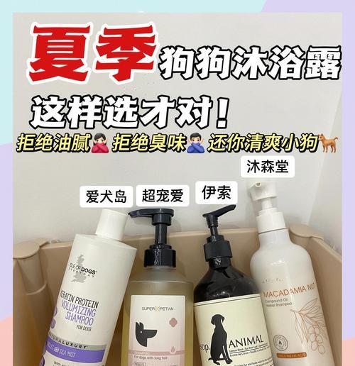 狗夏天生完孩子后何时洗澡合适？（科学护理让母狗和幼犬安全度过夏季）