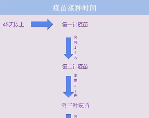 狗狗生命中必须接种的针剂（养狗人必看，了解狗狗接种针剂的重要性和时间安排）