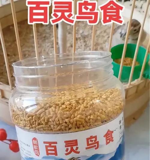 百灵鸟的生态与行为习性（探秘百灵鸟的独特生活方式）