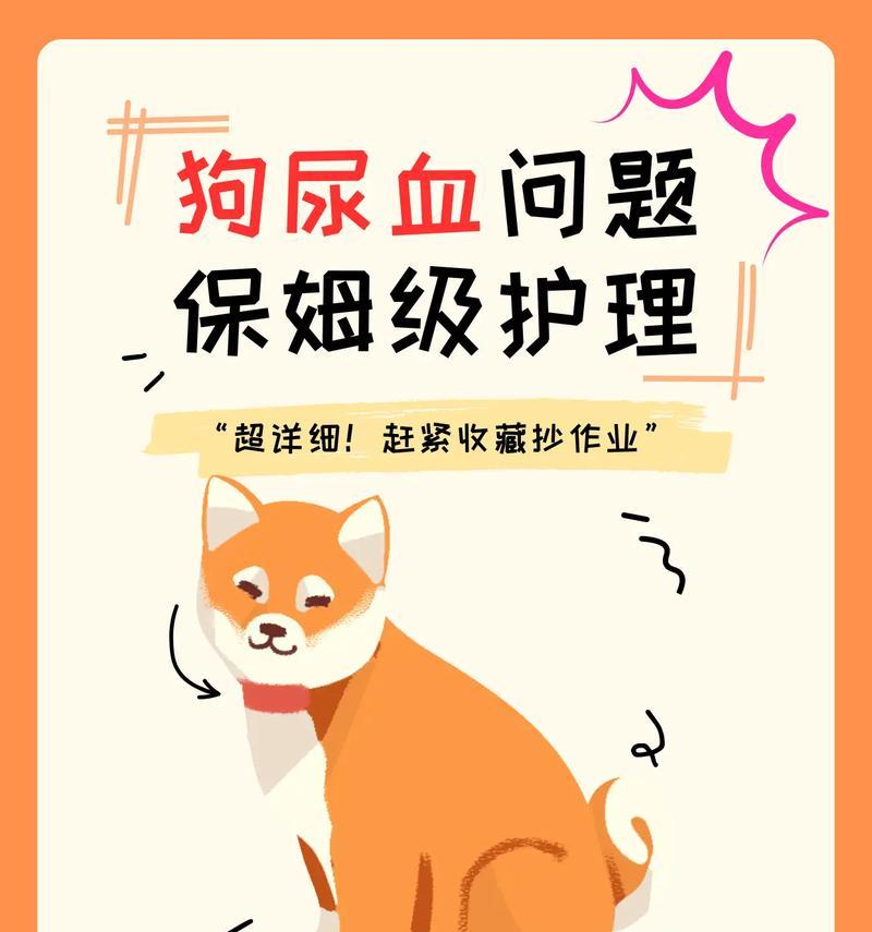 轻松告别狗尿味，四步帮狗狗清理拉尿！（如何有效清理狗狗拉尿，让家中远离异味？）