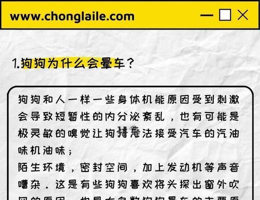狗晕车后多久能吃东西？（探究狗晕车后进食的最佳时间）